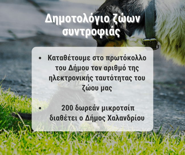 Δημοτολόγιο για τα ζώα συντροφιάς δημιουργεί ο Δήμος Χαλανδρίου – Θα τοποθετηθούν δωρεάν 200 μικροτσίπ